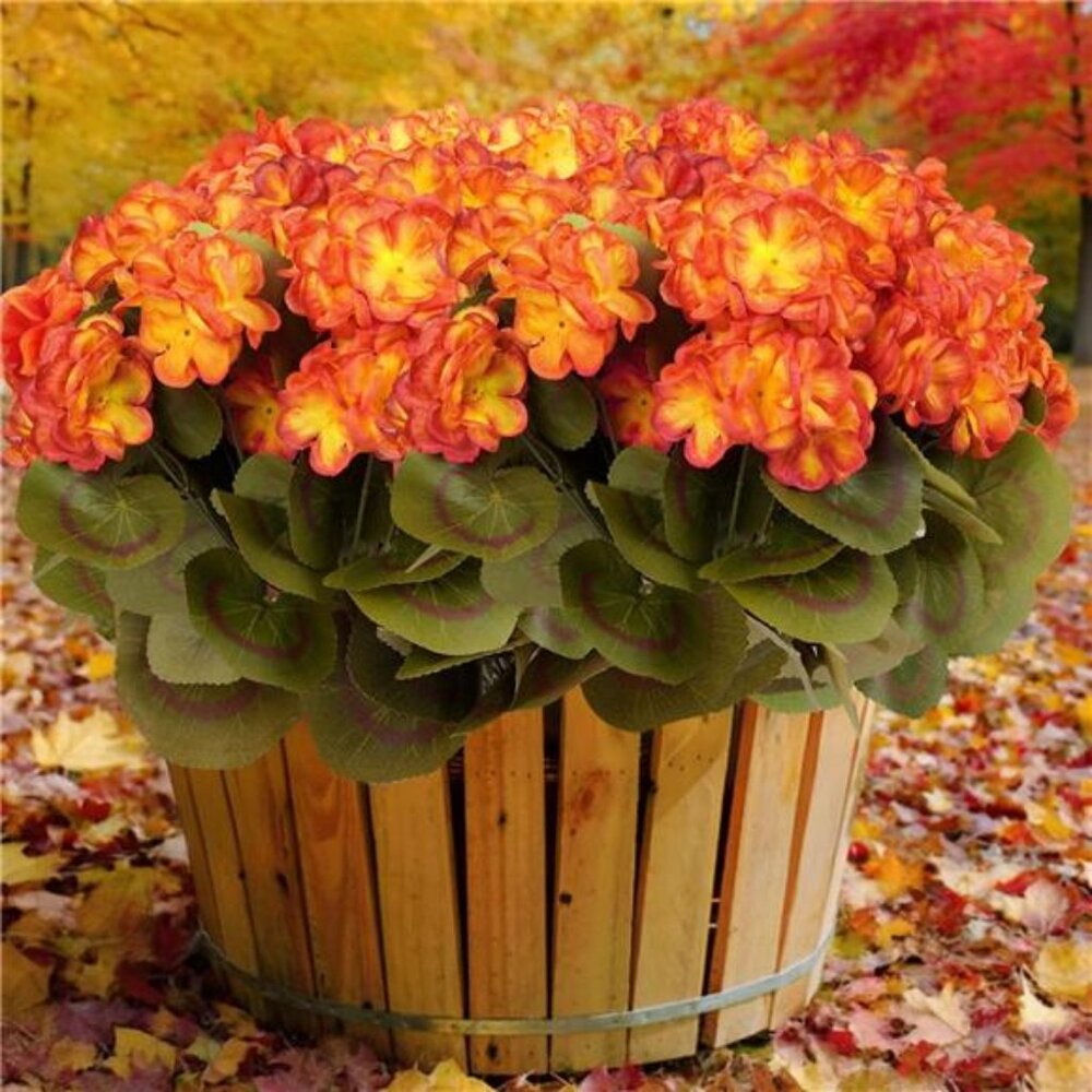 6 Bundles Fall Flowers Artificial for Decoration, Fake Geraniums Artificial